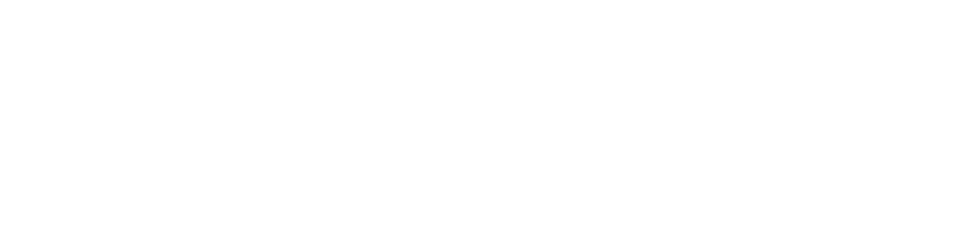 Consul Logo